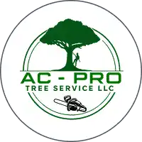 AC-PRO Tree Service logo featuring a large green tree with a silhouette of an arborist, and a chainsaw at the bottom.