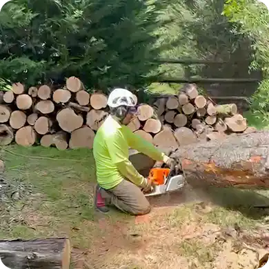 An arborist in full safety gear uses a chainsaw to buck a large log into firewood.
