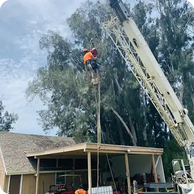 Arborist being lifted by a crane to work on a large tree over a house.