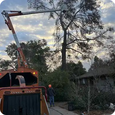 Tree service worker on ground near wood chipper and tree being trimmed.