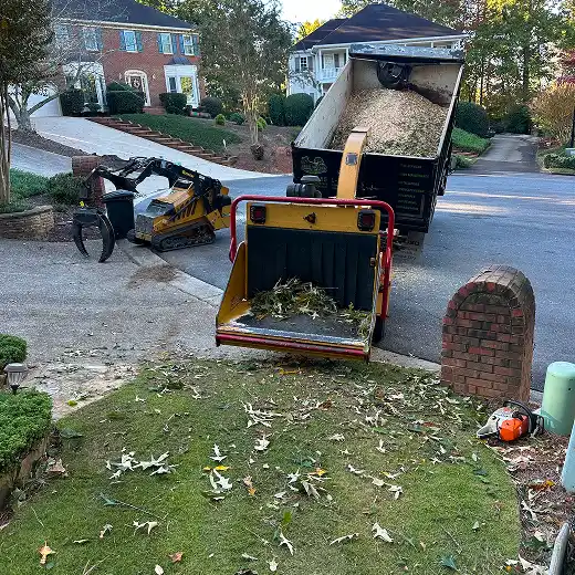 Tree removal cleanup with heavy equipment.
