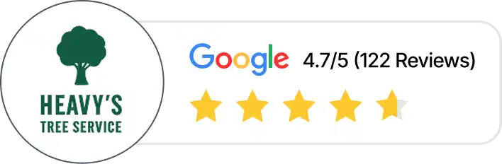 Heavy's Tree Service Google reviews, showing a rating of 4.7 out of 5 stars from 122 reviews.