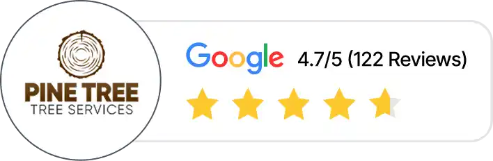 Pine Tree Services Google reviews, showing a rating of 4.7 out of 5 stars from 122 reviews.
