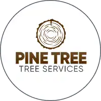 Pine Tree Services logo featuring a brown graphic of a tree trunk cross-section.