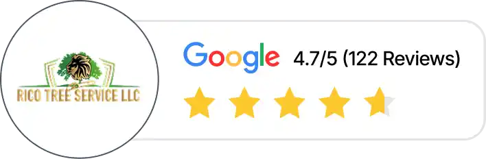 Rico Tree Services Nashville Google reviews, showing a rating of 4.7 out of 5 stars from 122 reviews.