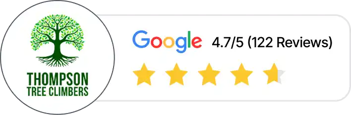 Thompson Tree Climbers Google reviews, showing a rating of 4.7 out of 5 stars from 122 reviews.