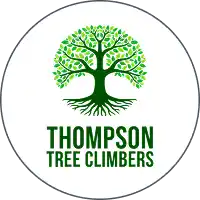 Thompson Tree Climbers logo featuring a stylized green tree.