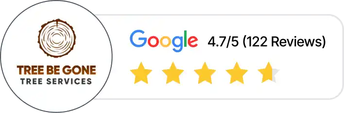 Tree Be Gone Google reviews, showing a rating of 4.7 out of 5 stars from 122 reviews.