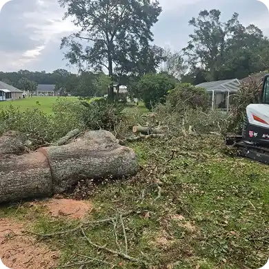 Tree removal cleanup with heavy equipment.