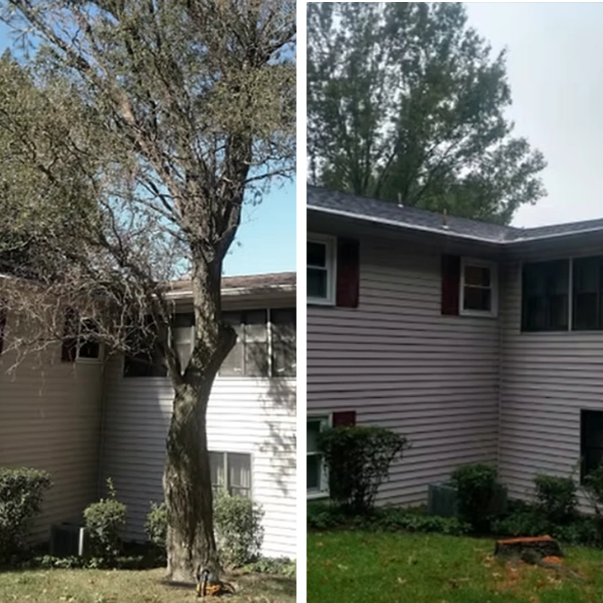 A large tree situated dangerously close to a house is removed in Metro Atlanta, with the stump visible.
