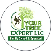 Your Tree Expert logo featuring pine trees inside a saw blade.