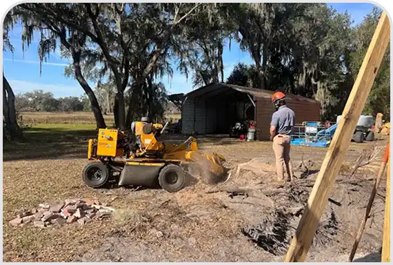 Stump Grinding & Removal